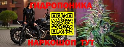 трава Тулун