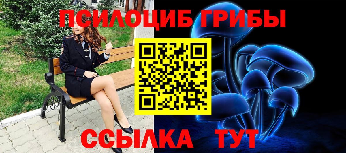 Псилоцибиновые грибы Psilocybine cubensis Малгобек